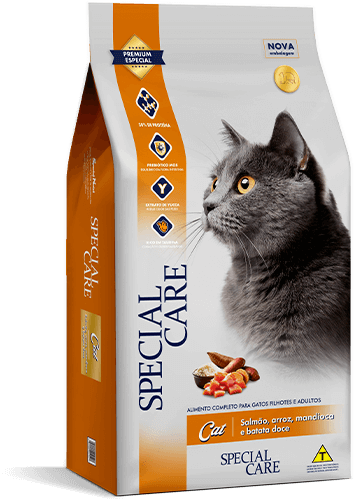 Special Care - Cat