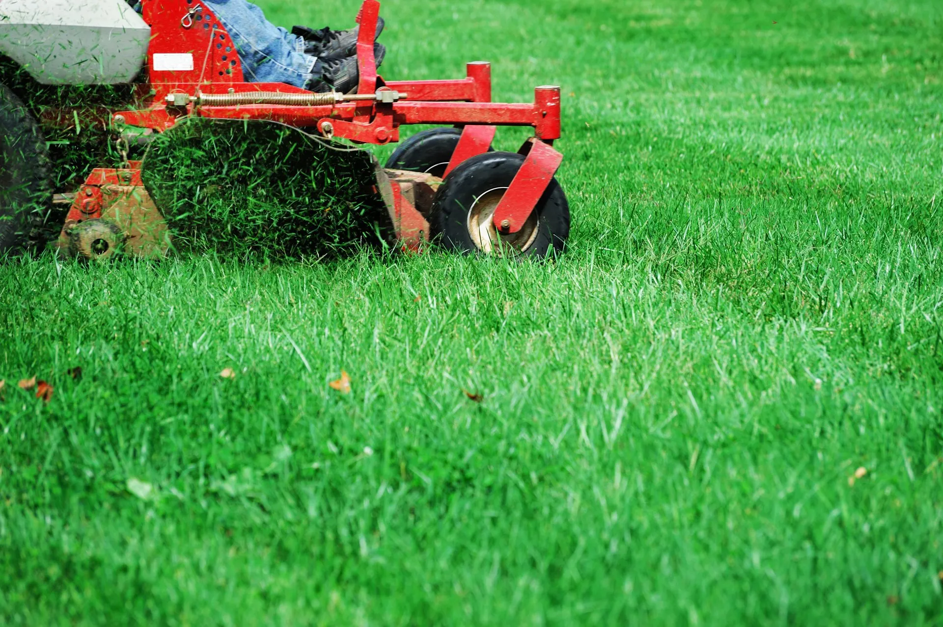 Tom - Owner of Tom's Landscaping & Tree Service Cincinnati