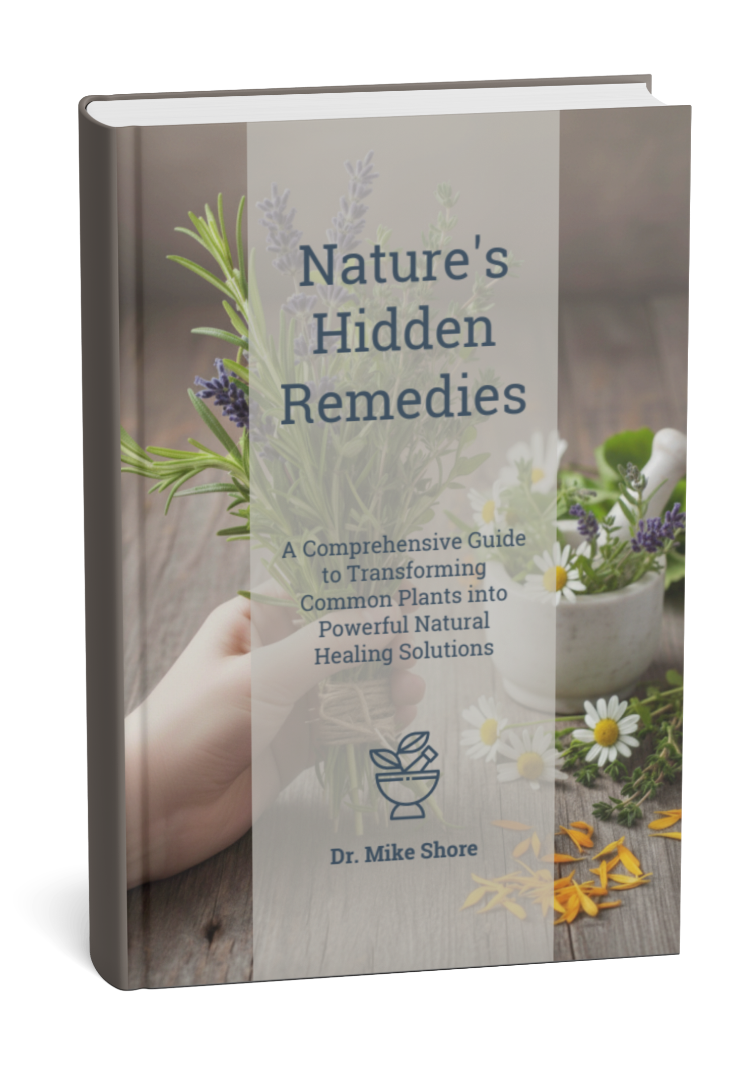 Nature's Hidden Remedies Ebook