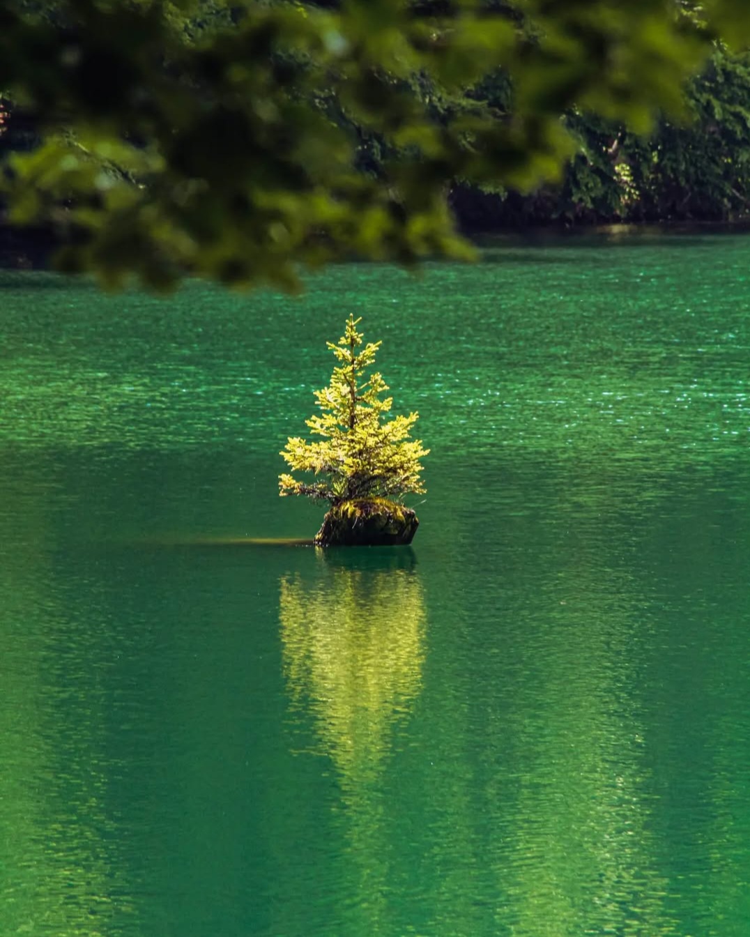 Sinjavina Mini Skyrace