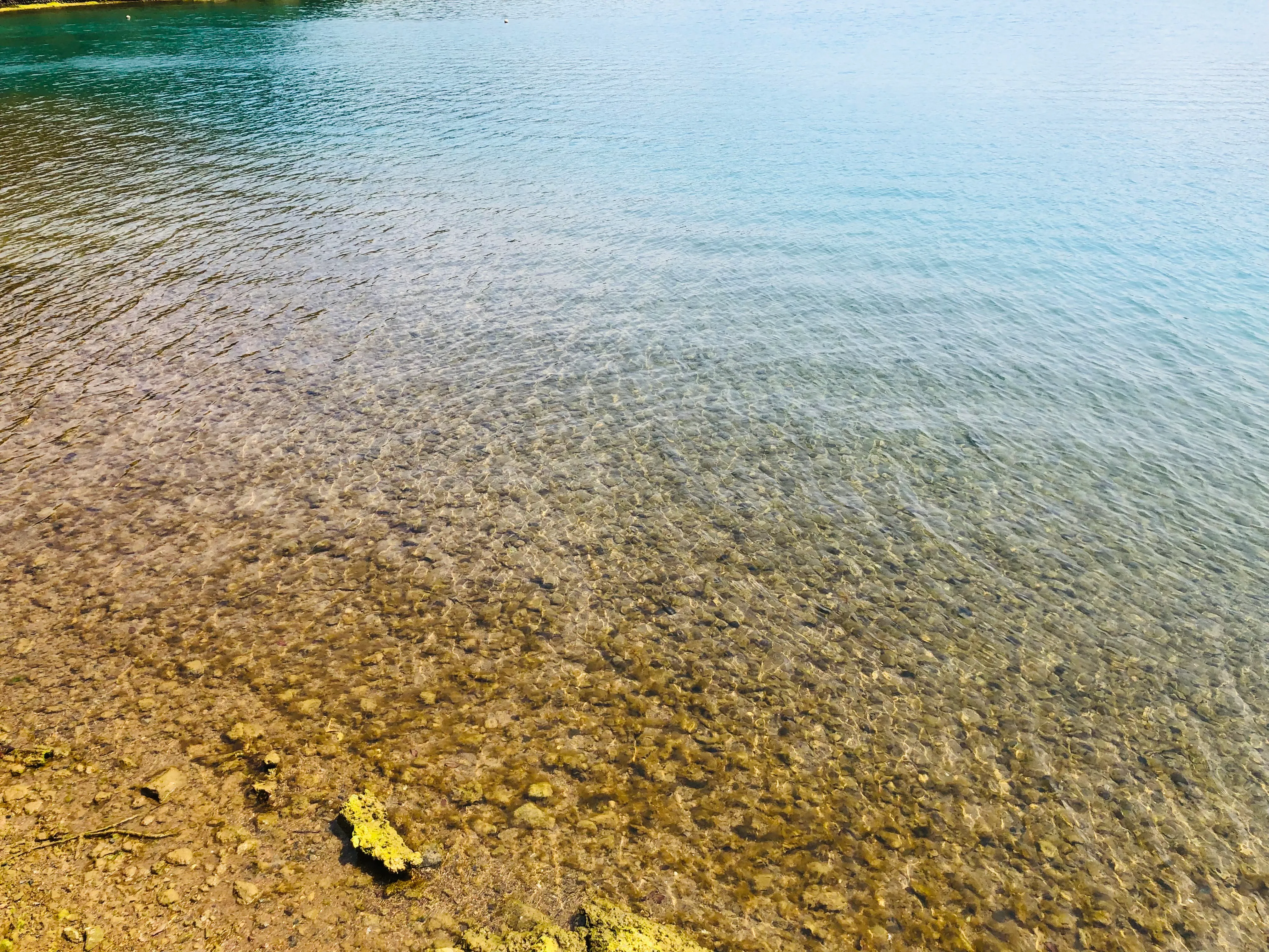 静かな海