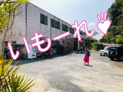 たつみ荘全景