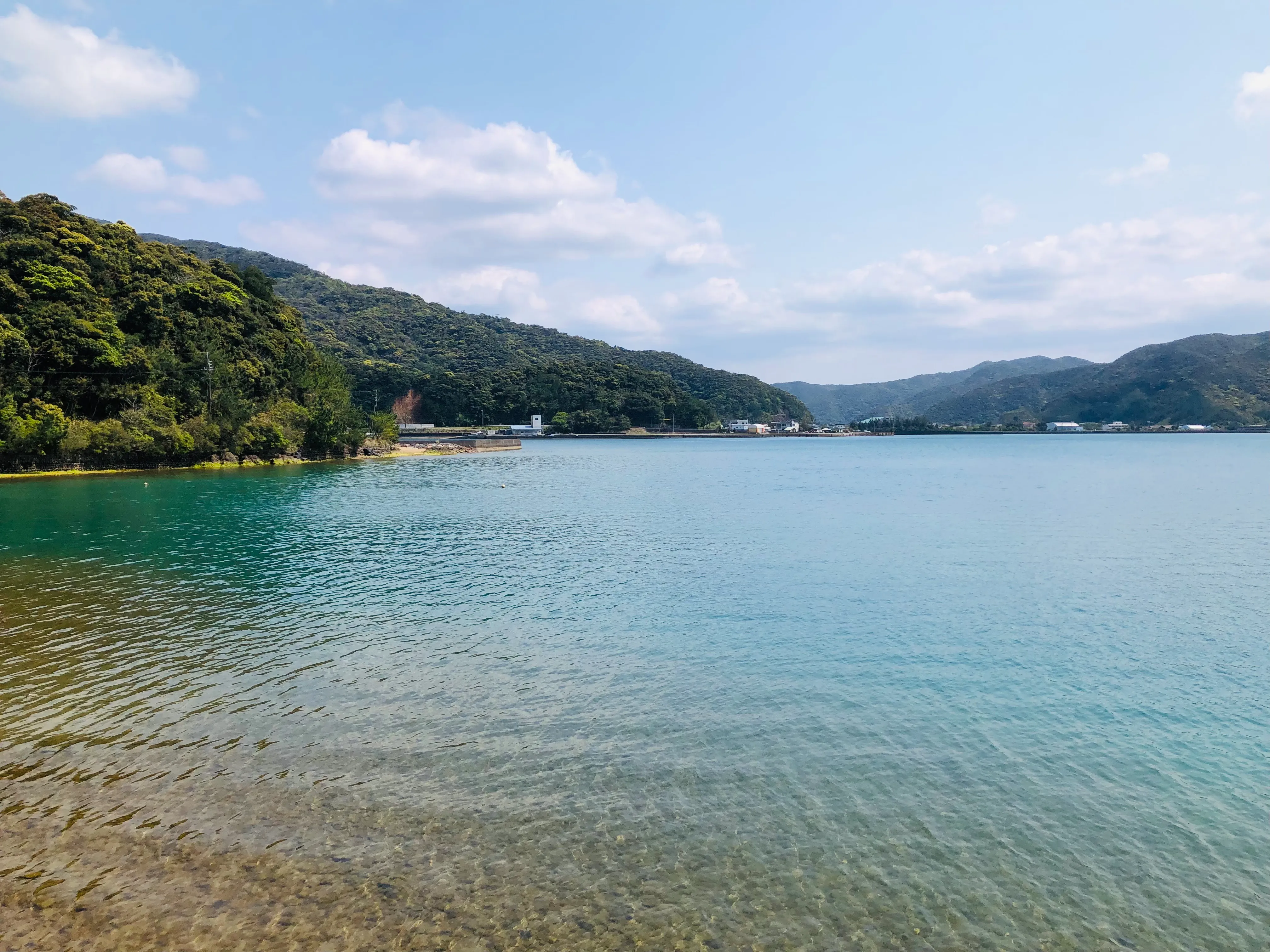 朝の散歩