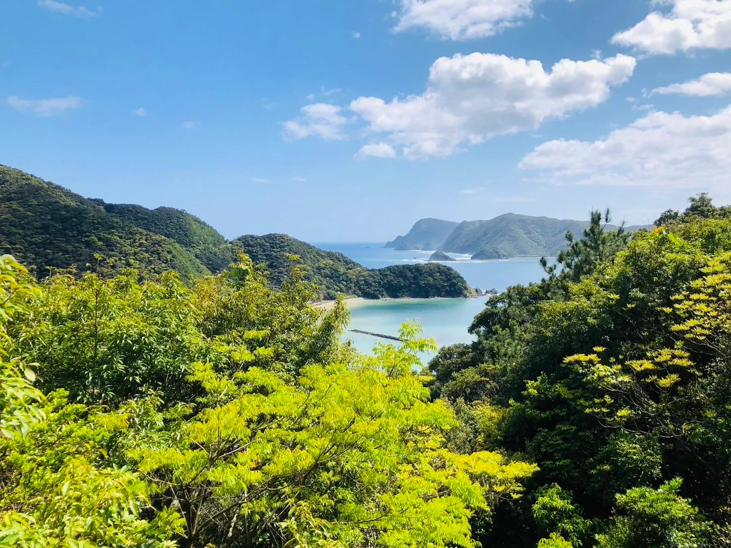 世界自然遺産・湯湾岳