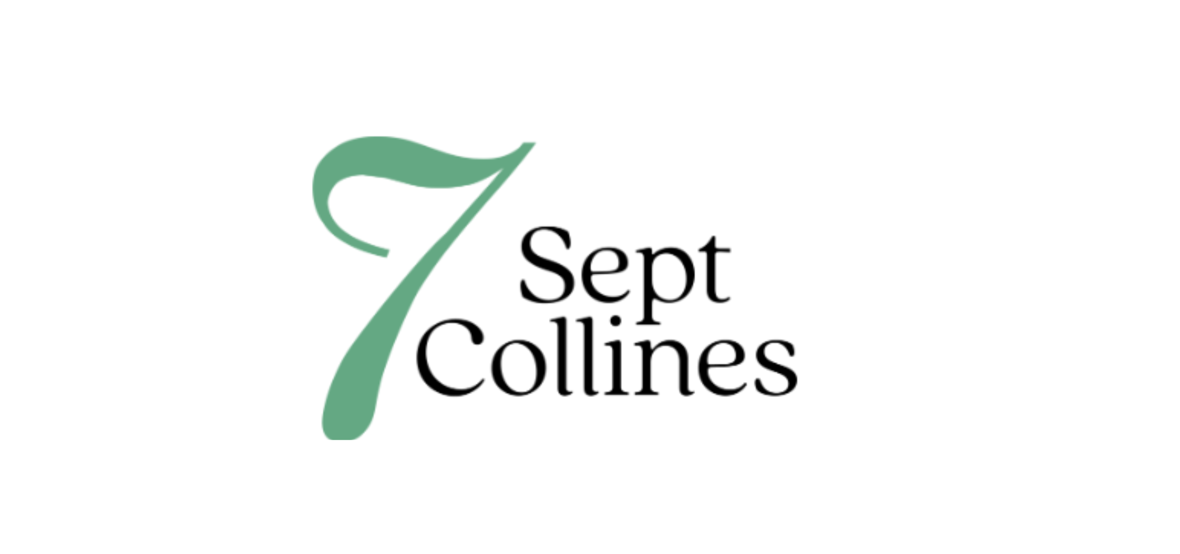 Logo 7collines