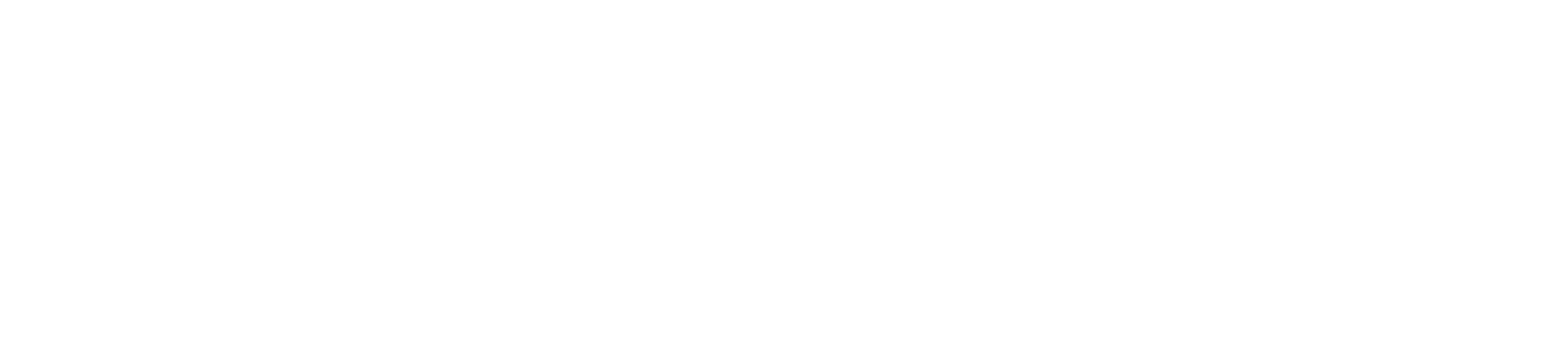 RESOLVE LLC