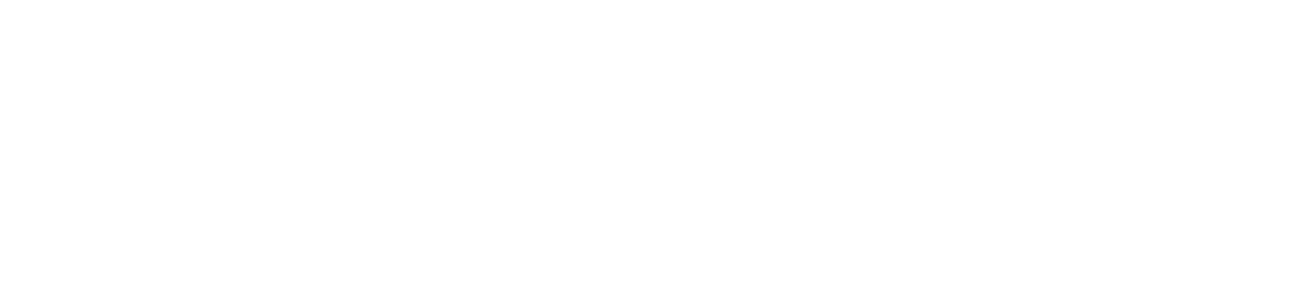 RESOLVE LLC