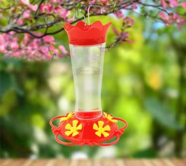 Spring is Almost Here—And So Are Our Hummingbird Feeders!