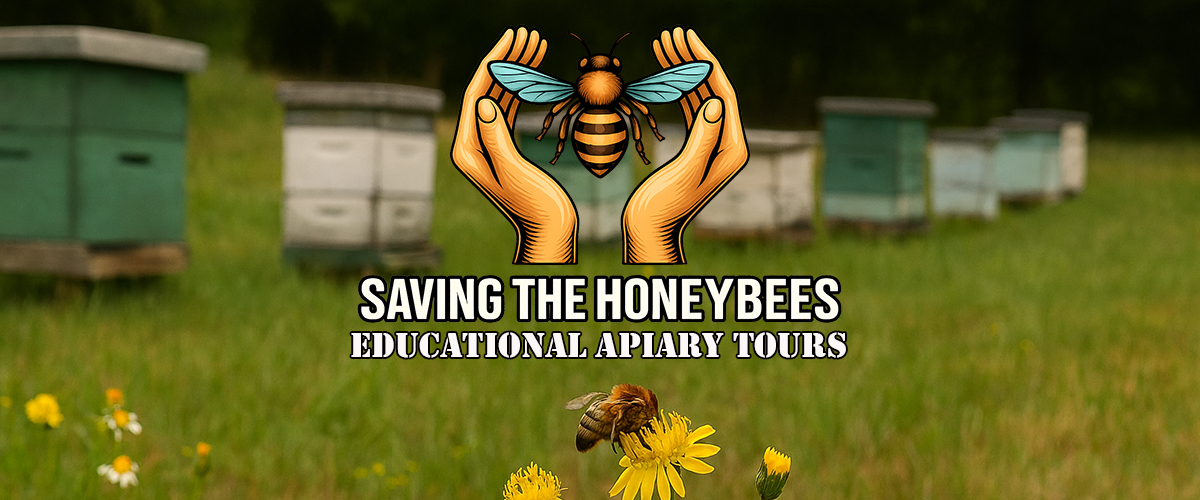 Saving the Honeybees Educational Apiary Tours