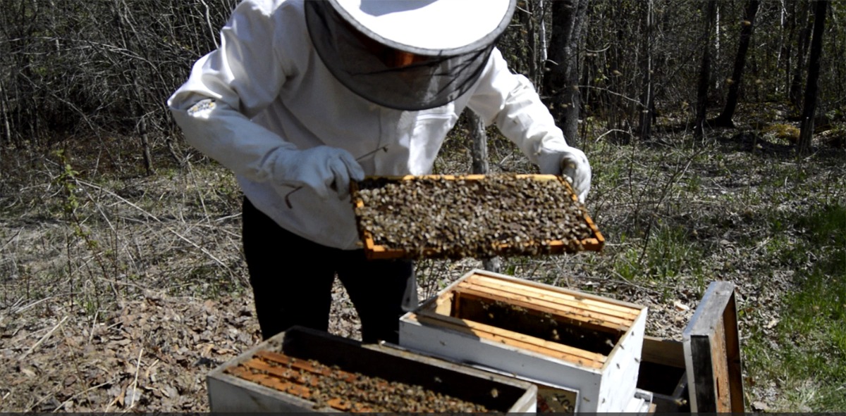 Student Apiary Tour