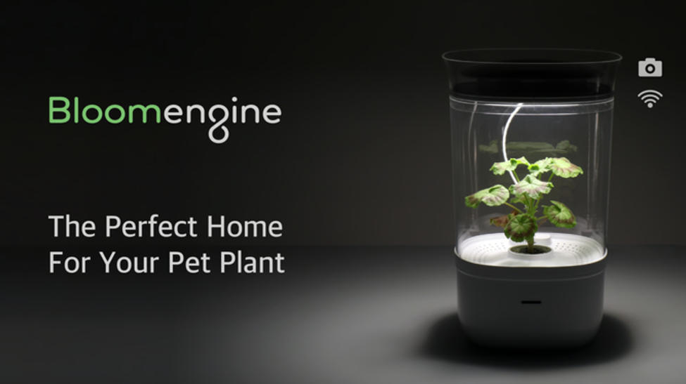 The Perfect Home For Your Pet Plant