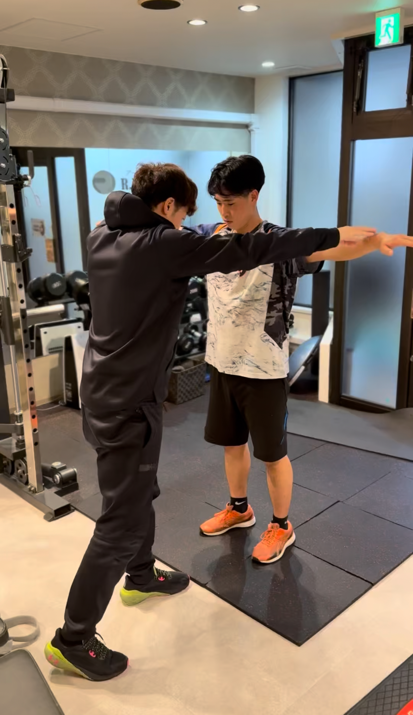 身体の発生学から見たタイプ分類