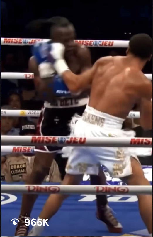 Wilkens Mathieu - Pro-Boxer