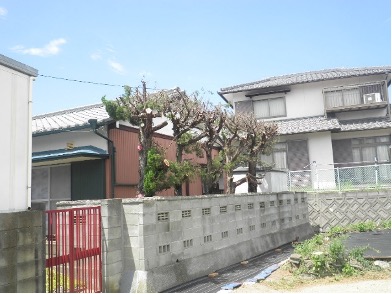 支障木伐採・庭木剪定 施工後