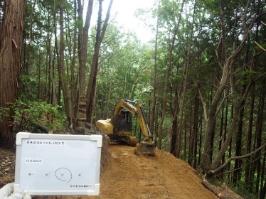 間伐 作業道開設