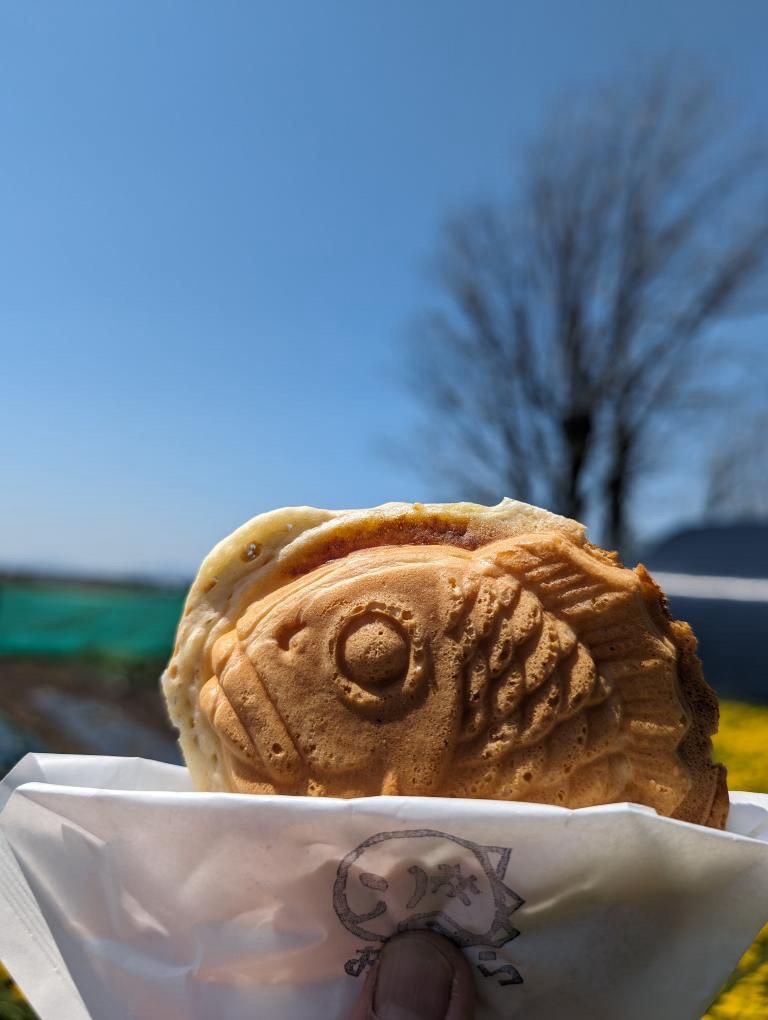 焼きたてのたい焼き