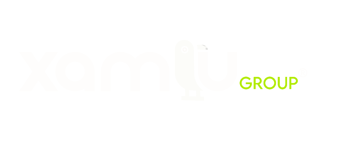 Xamlu Group