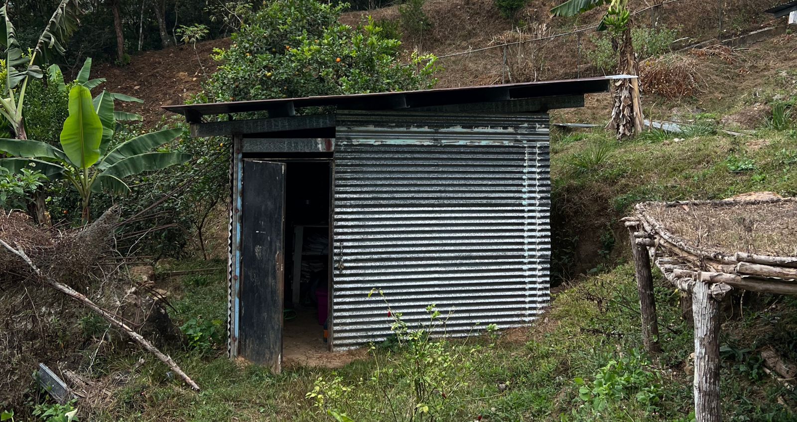 Niños en la escuela