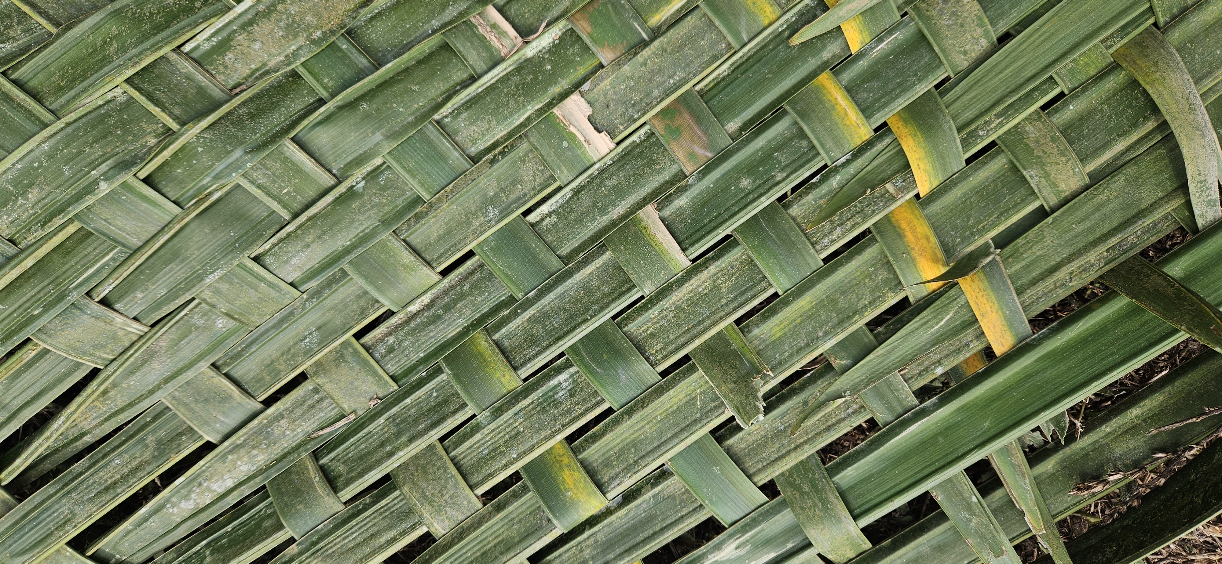 Técnicas tradicionales