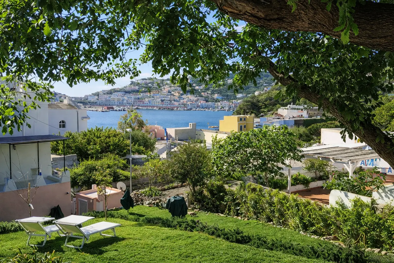 Giardino con Pino e Quercia Secolare