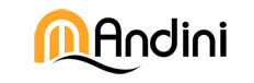 ANDINI Logo