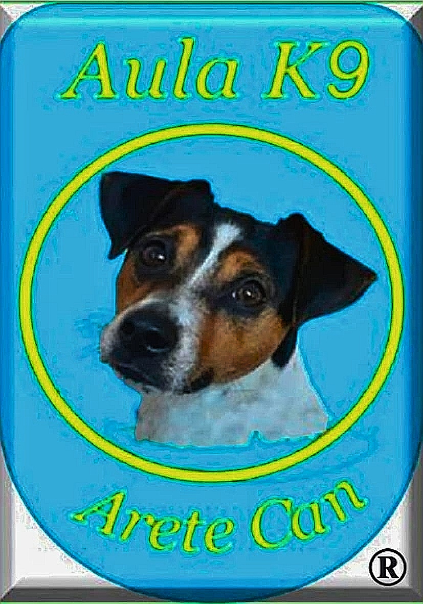 Aula K9 Arete Can Logo