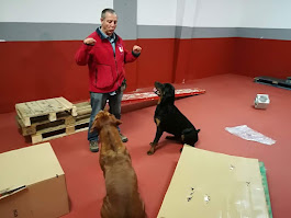 Entrenamiento profesional 8