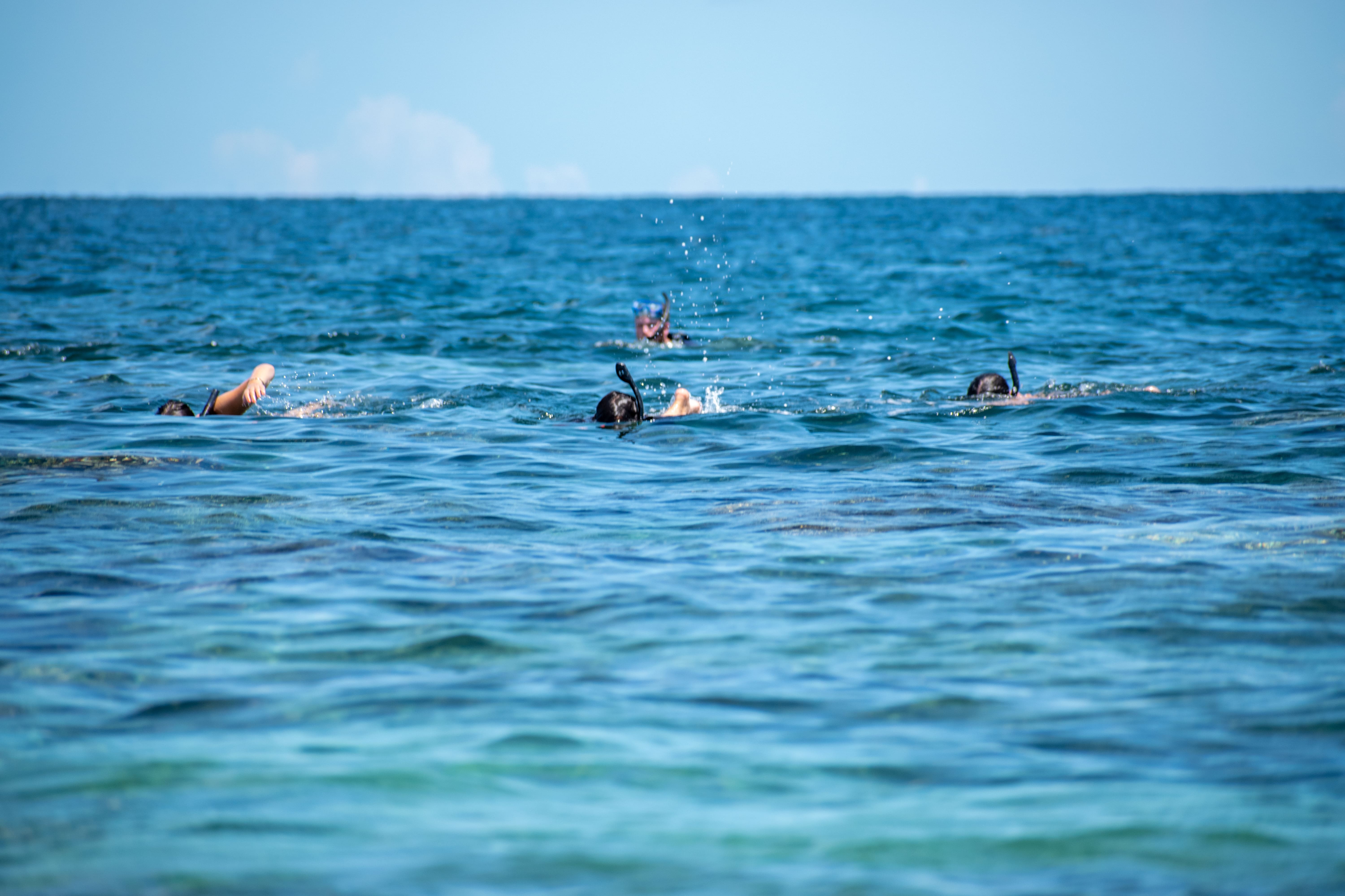 Snorkel en Arrecifes