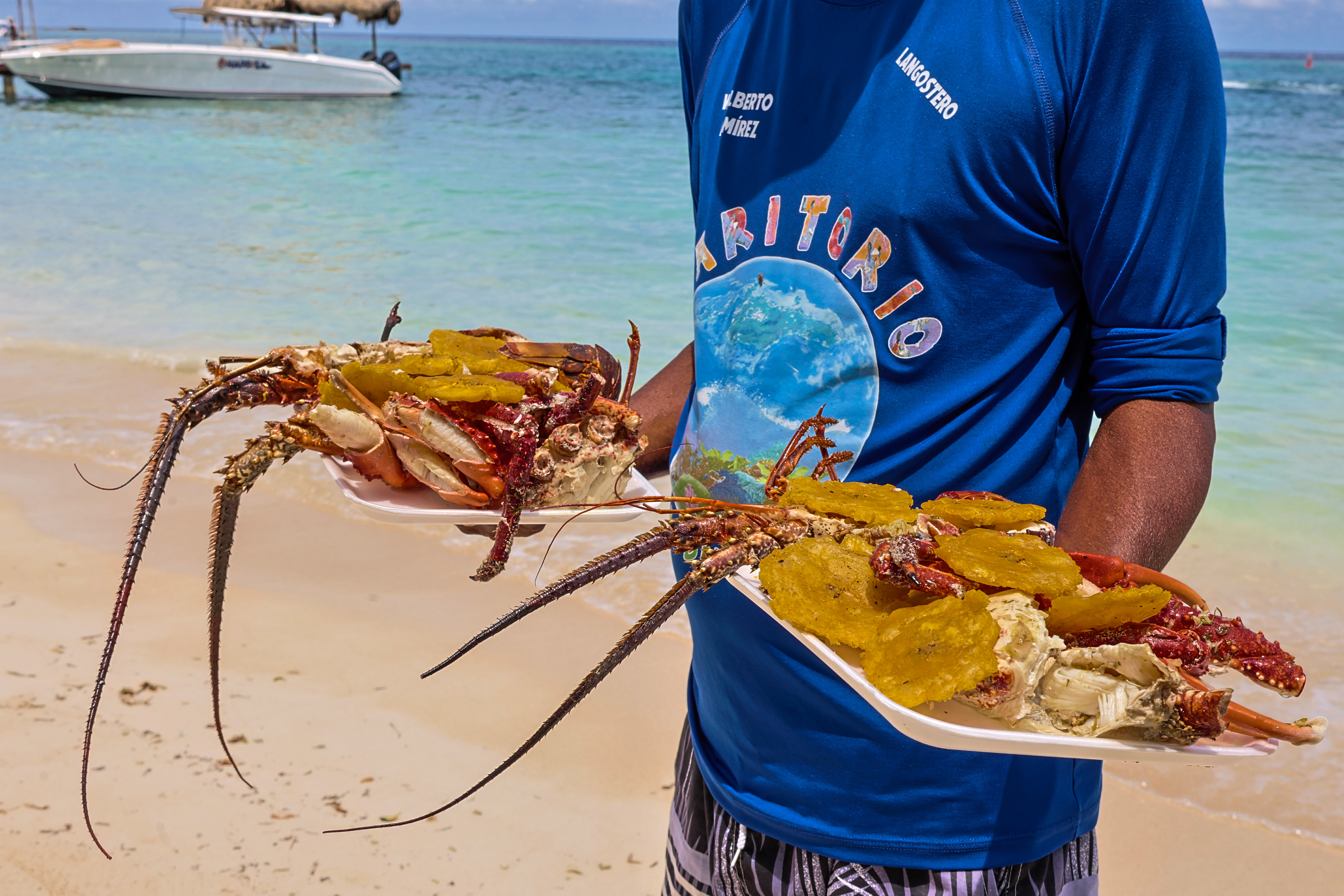 Chef preparando platos