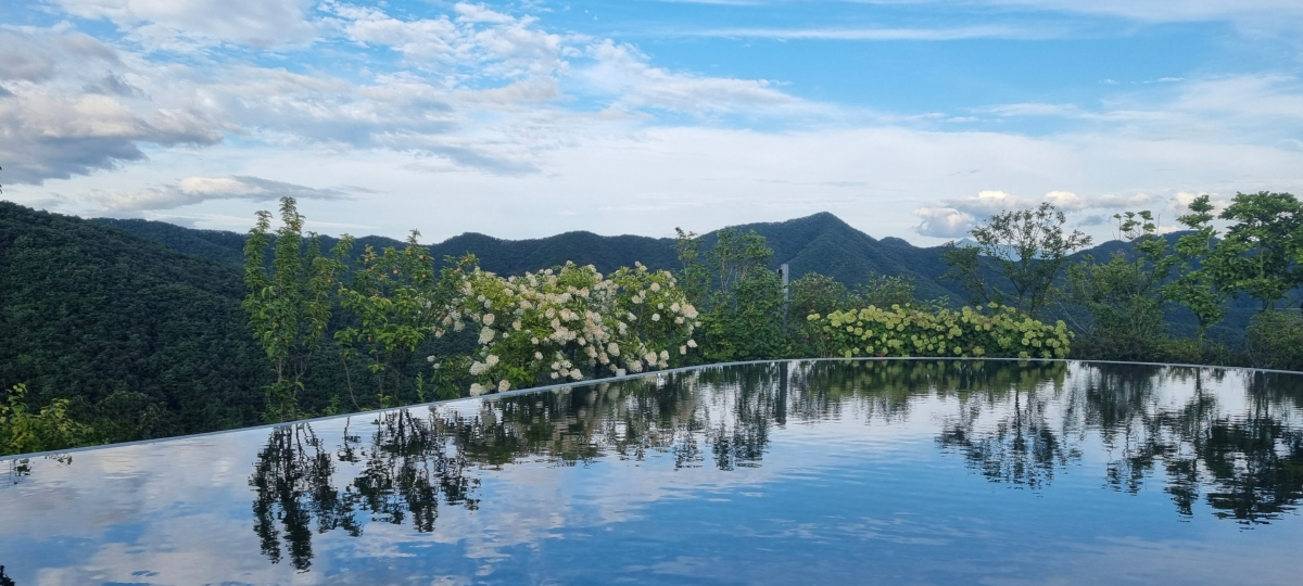 어구어 로고 이미지