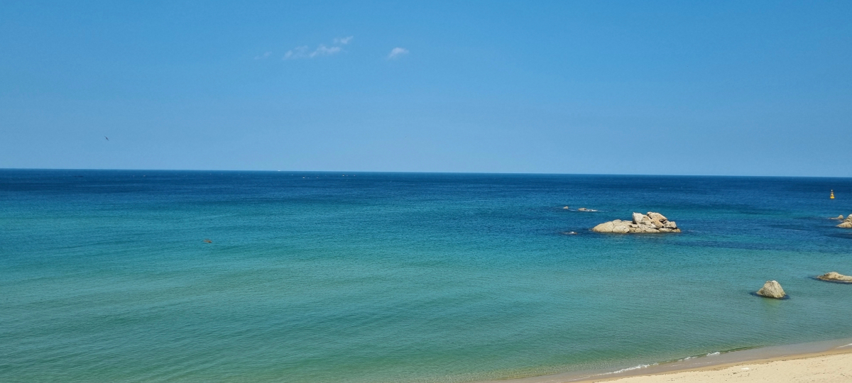 어구어 배경 이미지