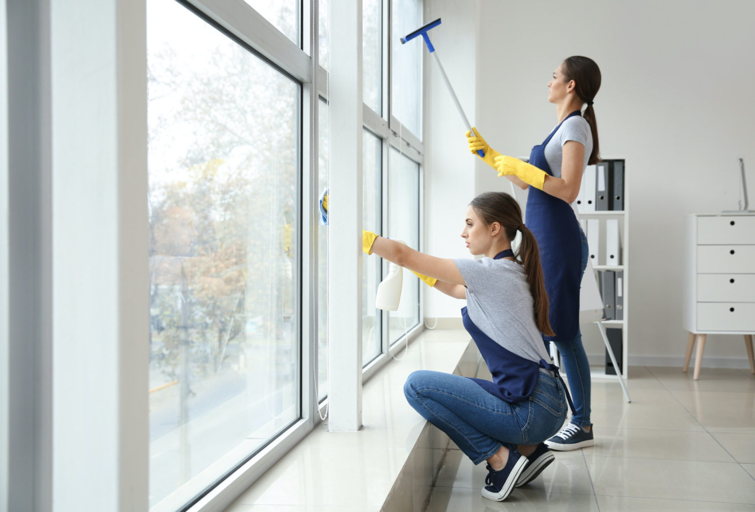 Window & Glass Cleaning