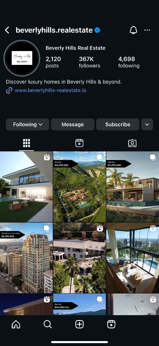 Instagram Profile Screenshot