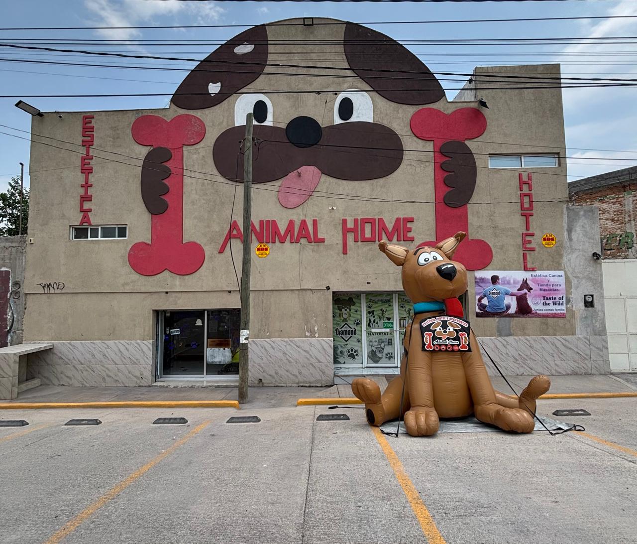 Animal Home Hero