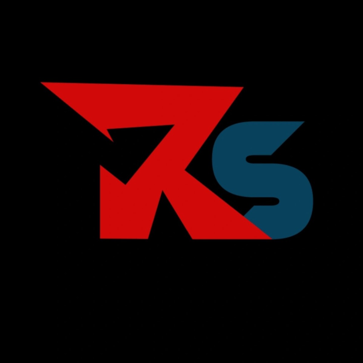 Roidz Studio Logo