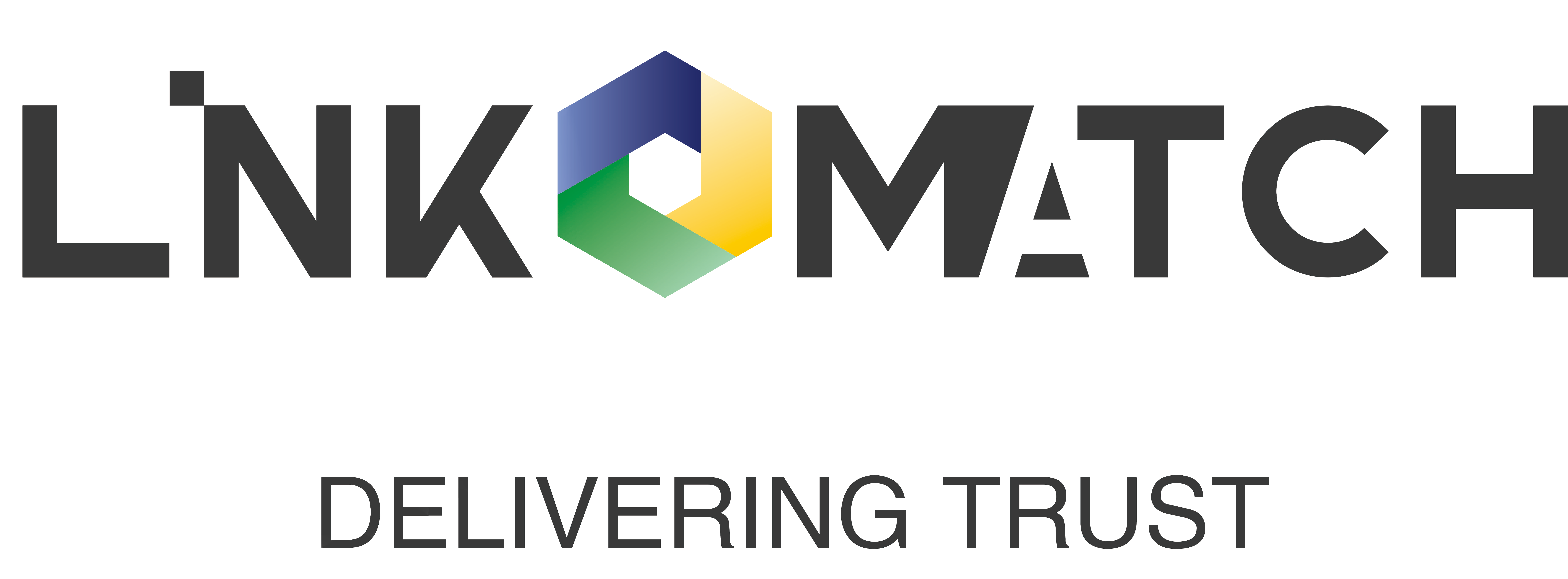 LinkMatch Logo