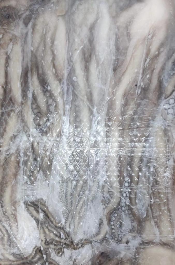 Frozen Mayan Octopus