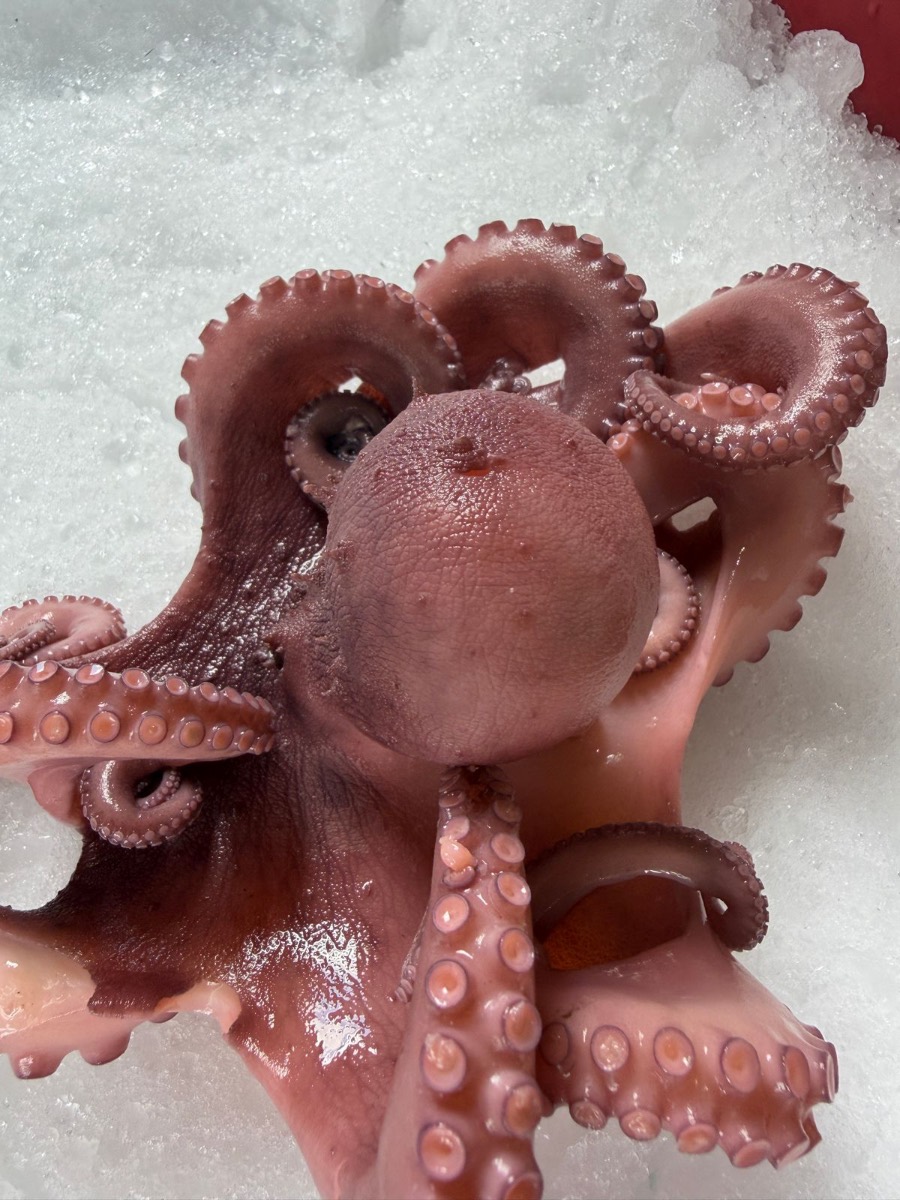 Precooked Mayan Octopus