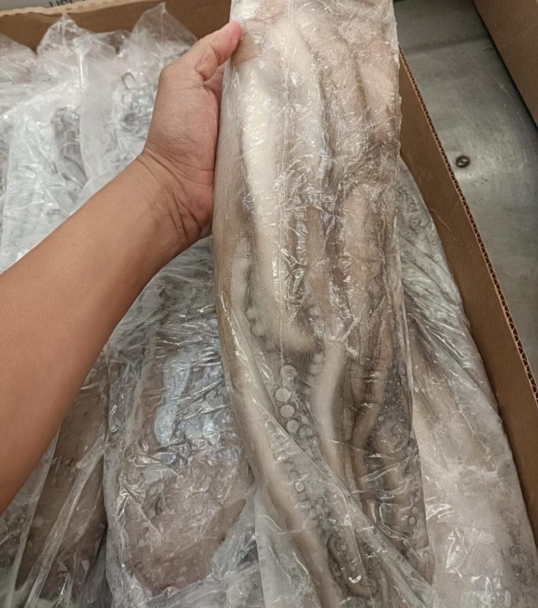 Frozen Mayan Octopus