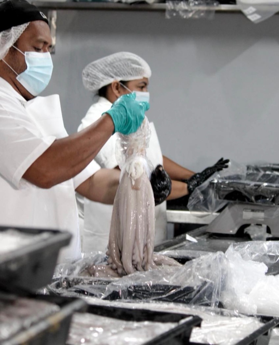 Frozen Mayan Octopus