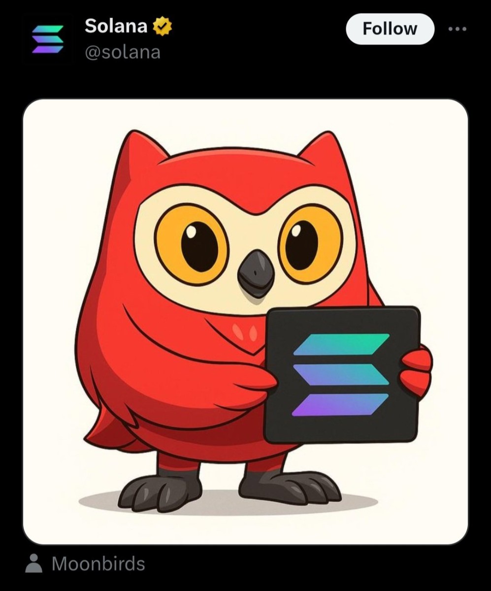 BIRB Story