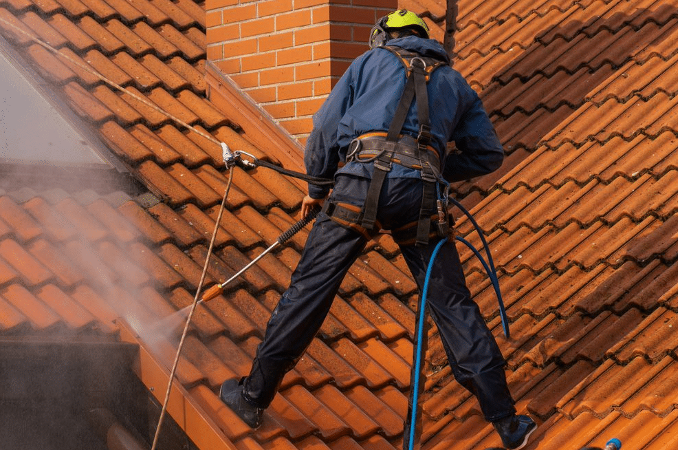 Professional Roof Cleaning Service