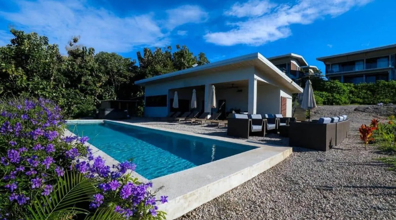 Retreat property — infinity pool with lounge area, purple wildflowers and tropical forest backdrop