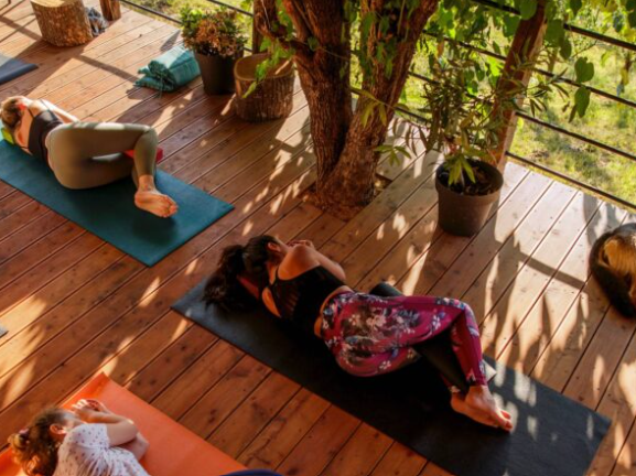 Guests practicing yoga on a sunlit wooden deck surrounded by lush trees