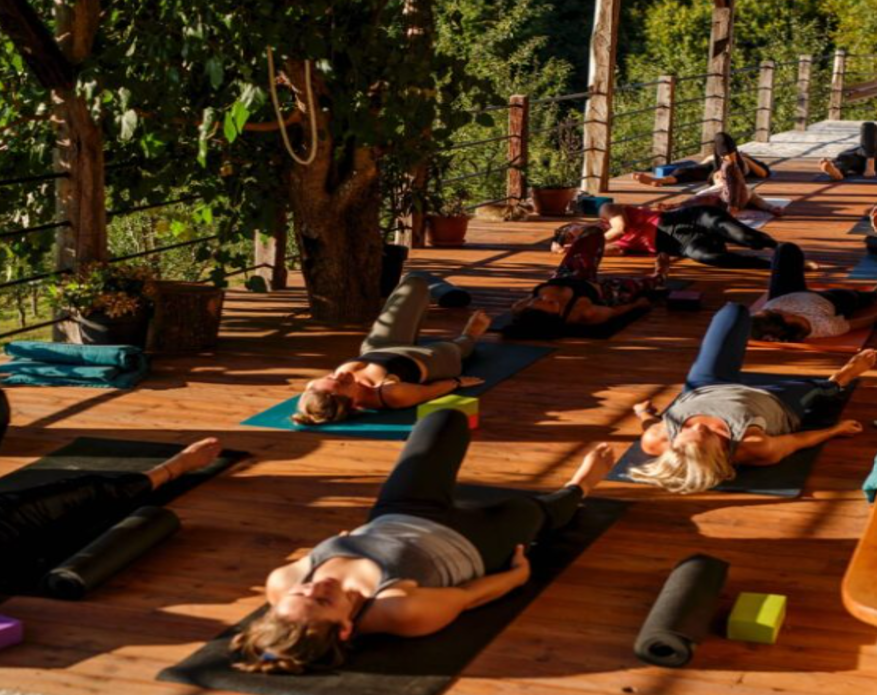 Forest Yoga Retreat in CROATIA