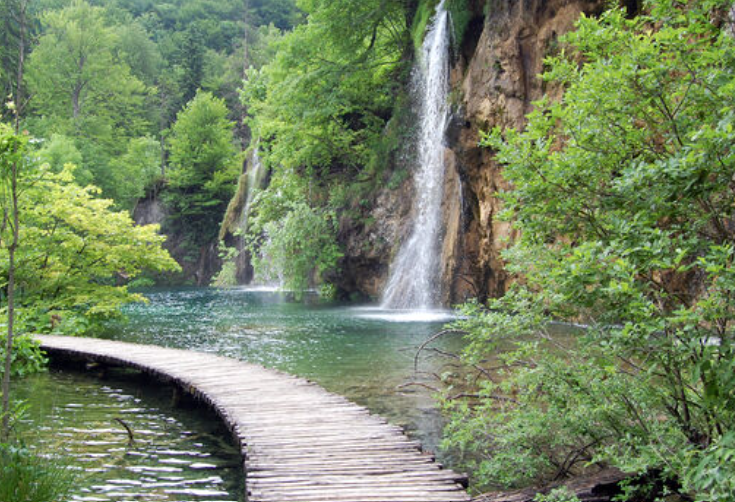 Wooden boardwalk path leading to a stunning waterfall surrounded by lush green forest
