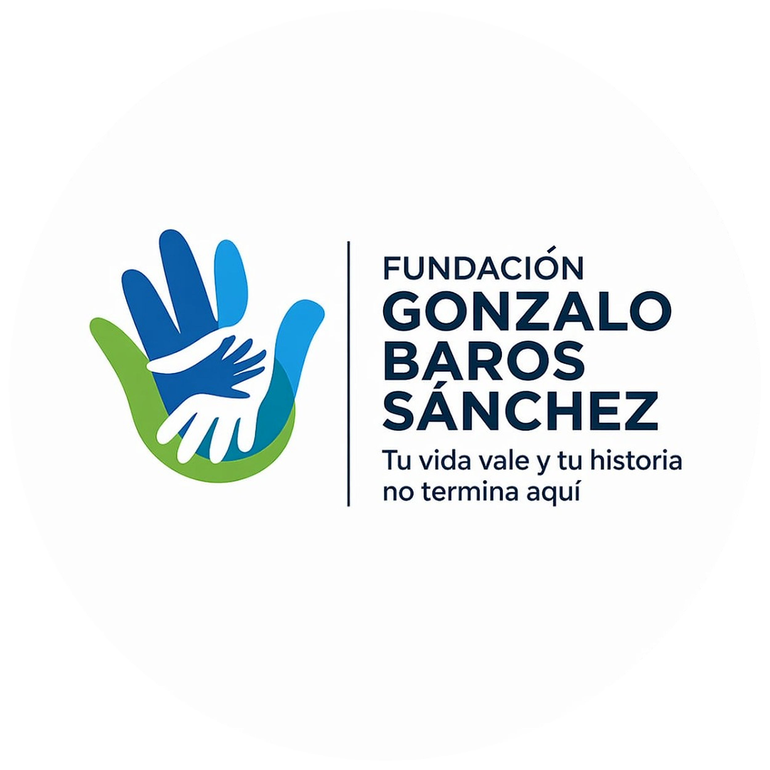 Logo Fundación Gonzalo Barros Sánchez