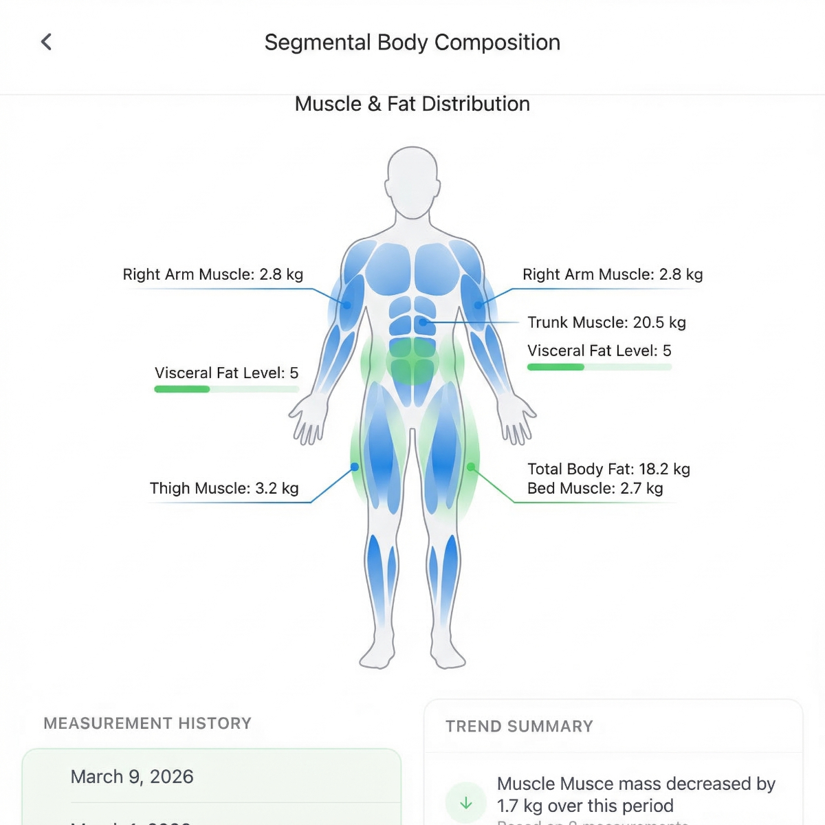 Body Balance & Distribution