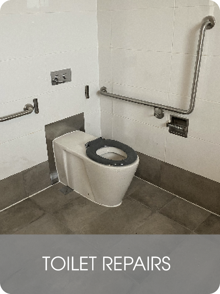Toilet Repairs