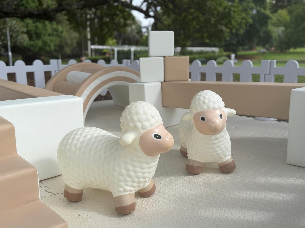 Sunny Soft Play Setup 8